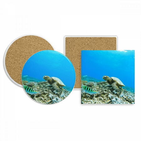 

Ocean Sea Turtle Fish Science Nature Picture Coaster Cup Mug Holder Absorbent Stone Cork Base Set
