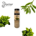 thumbnail image 5 of Pontino Epazote, 195 G, 5 of 5