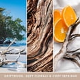 thumbnail image 2 of Yankee Candle SEASIDE WOODS Fragranced Box of 12 Tea Lights, 2 of 4