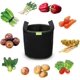 thumbnail image 4 of Bolsas para cultivo de plantas KAIYANG 7 galones Paquete de 5 Macetas de tela color negro, 4 of 5