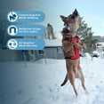 thumbnail image 4 of Voyager Dog Harness Dual Leash Attachment No-Pull Control Adjustable Soft, Strong Pet Harness for Medium & Large Dogs w/ 3M Reflective Technology w/ Leash Included - Red Lattice, S (Chest 22-27"), 4 of 8