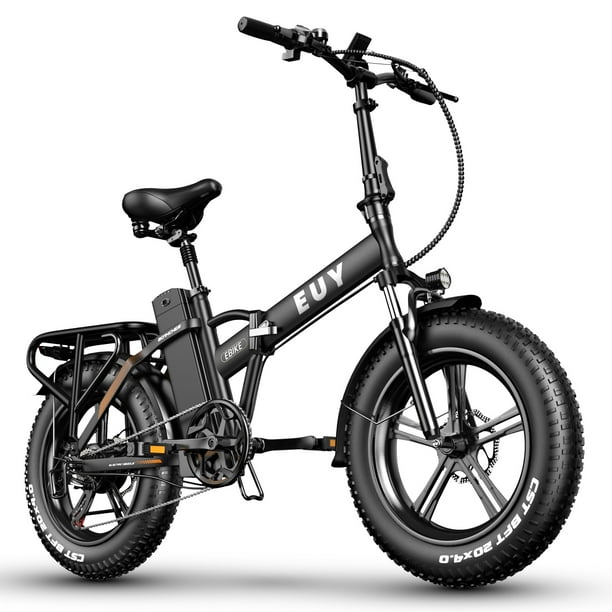 EUY Folding Electric Bike for Adults,48V20Ah Removable Lithium Battery