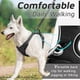 thumbnail image 4 of No Pull Dog Harness for Large Dogs, Front Clip Dog Vest Harness Adjustable, Reflective No-Choke Breathable with Easy Control Handle, Black, L, 4 of 5