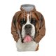 thumbnail image 3 of Sudadera con capucha con estampado 3D de linda mascota para hombres y mujeres, sudaderas con estampado de perro divertido, jersey de moda Harajuku para niños, jersey de calle holgado de manga larga, 3 of 5