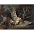 thumbnail image 3 of Jean-Baptiste Oudry 14x11 Black Modern Framed Museum Art Print Titled - Spaniel Seizing a Bittern (1725), 3 of 5