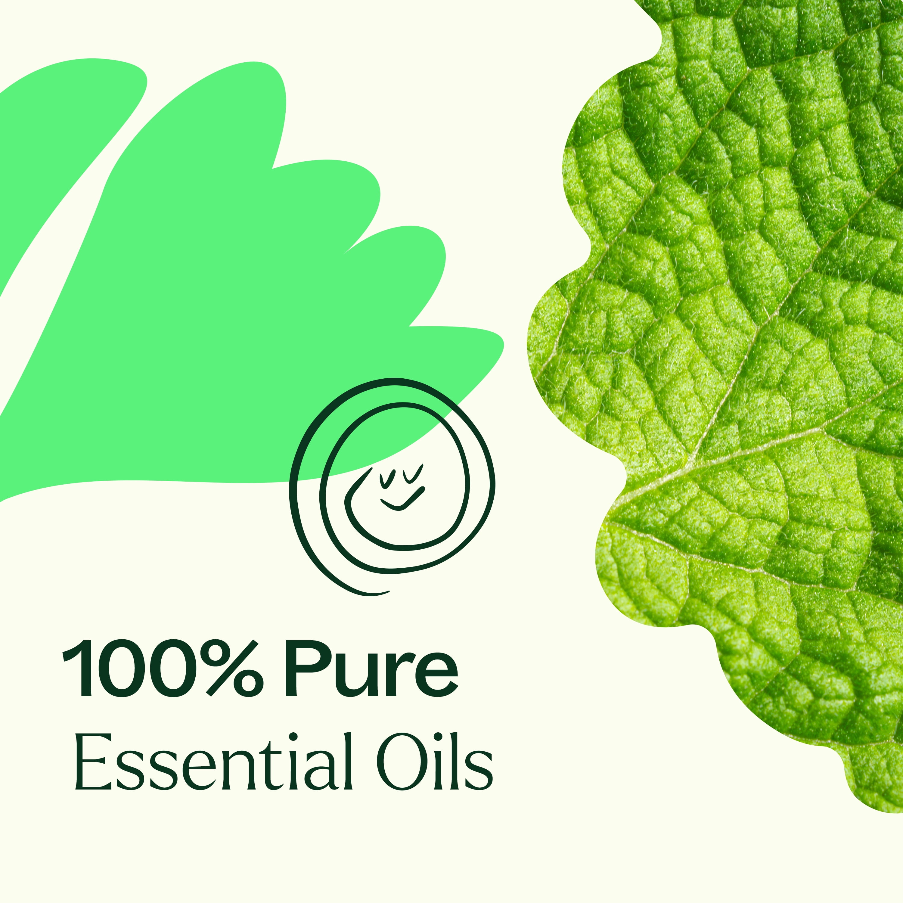 Plant Therapy Gut Aid Essential Oil Blend 30 mL (1 oz) 100% Pure, Undiluted, Natural Aromatherapy for Upset Stomach Relief