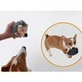 thumbnail image 4 of 2PCS Hedgehog Plush Toys for Dogs - Puppy Squeaker Toy - Interactive Pet Training, 4 of 4