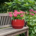 thumbnail image 4 of Ordivic 7 inch Red Ceramic Plant Pot with Saucer & Drainage Hole,Medium Indoor Outdoor Planter for Snake Plant, Pothos, ZZ Plant,Desk Table,Windowsill,Home Decor, 4 of 8