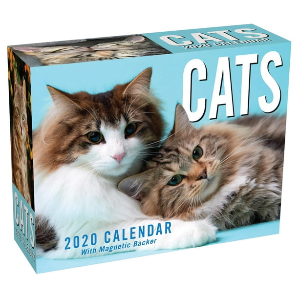 cats-2020-mini-day-to-day-calendar-other-walmart-walmart