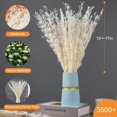 thumbnail image 5 of Dried Flowers Babys Breath Bouquet, – 17 Inch 3500+ Preserved Natural Flowers, Dried Floral Arrangements for Wedding Decor, Farmhouse Vase Crafts, DIY Wreath, Home Party Decoration, White, 5 of 9