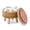 Brown-storage, variant on Natural Seagrass Footrest Poufs Hand Weave Round Foot Stool for Couch Desk Soft Step Stool Padded Foot Rest with Pine Legs for Living Room Bedroom