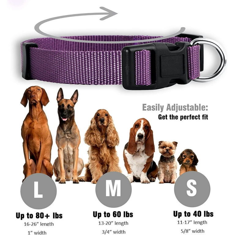 Basic Nylon Dog Collar, Adjustable for Small, Medium, Large pet and Puppies  Accessories, Cute Colors for Male, Female, boy, Girl, Puppy (Large, Purple)  