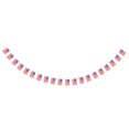 thumbnail image 2 of Conjunto De 20 Banderas .5m Decoraciones De Coleccionables Garland Colgante Yotijar  Bandera de Estados Unidos Bunting Banner, 2 of 6