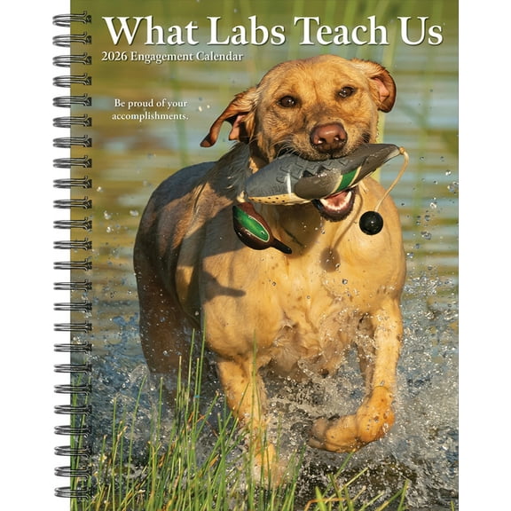 What Labs Teach Us 2026 Engagement Calendar, (Paperback)