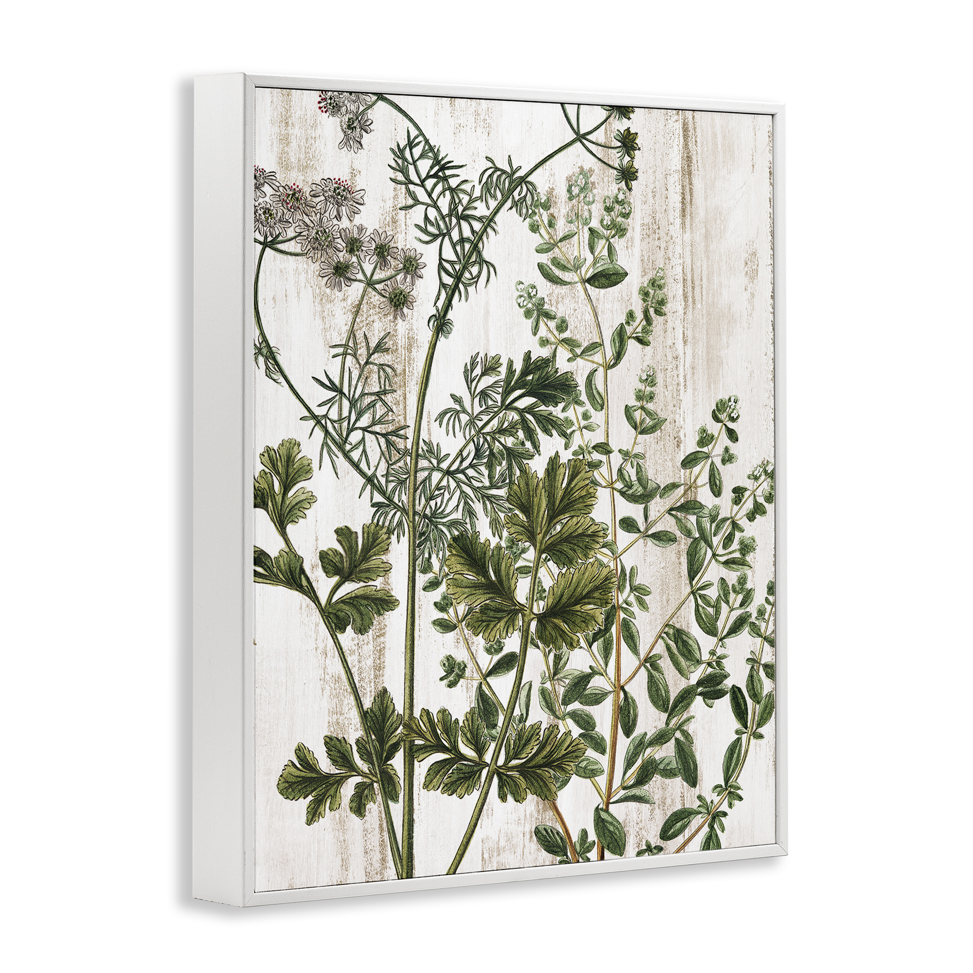 Stupell Industries Botanical Greenery Pattern Botanical & Floral Painting White Framed Art Print Wall Art, 11 x 14