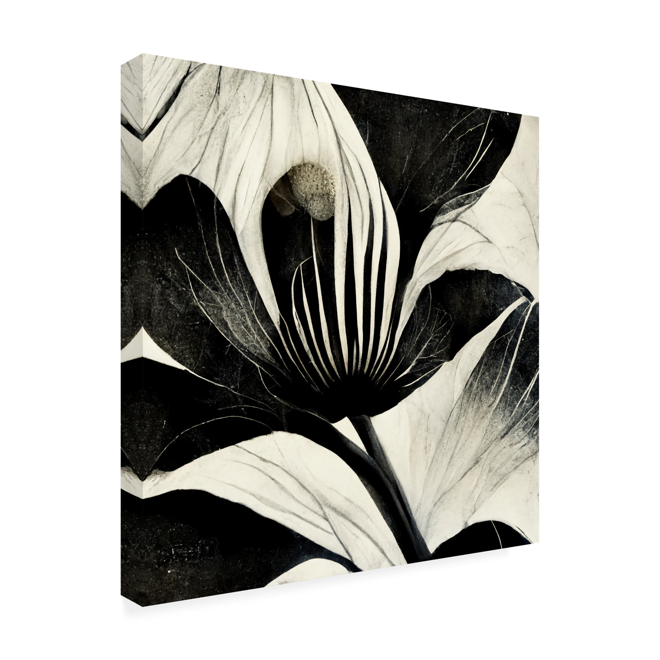 Canvas Wall Art - Ray Heere 'Flowers Black White 6' Wall Art for Living Room, Bedroom, or Office Décor by Trademark Fine Art - 24 x 24 Inches