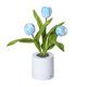 thumbnail image 1 of Tulip Atmosphere Nightlight Decoración para el hogar LED Luces de mesa para dormitorio Dormitorio de estudiante JShteea El nuevo, 1 of 1