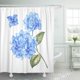 thumbnail image 1 of ABPHQTO Blossom Hydrangea Flowers Awesome Blue Floral Heads Design for Matrimonio Cortina de ducha 160x180 cm, 1 of 1