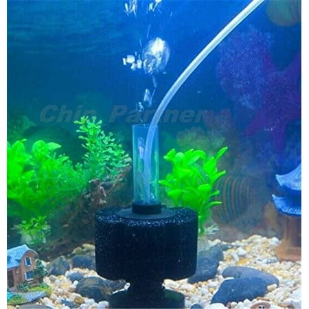 AQUAPAPA Bio Sponge Filter Air Pump Driven for Breeding Fry Betta Shrimp Nano Fish Tank Aquarium Up to 20 Gallon