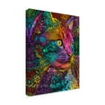 thumbnail image 2 of Trademark Fine Art 'Felis' Canvas Art by Dean Russo, 2 of 3