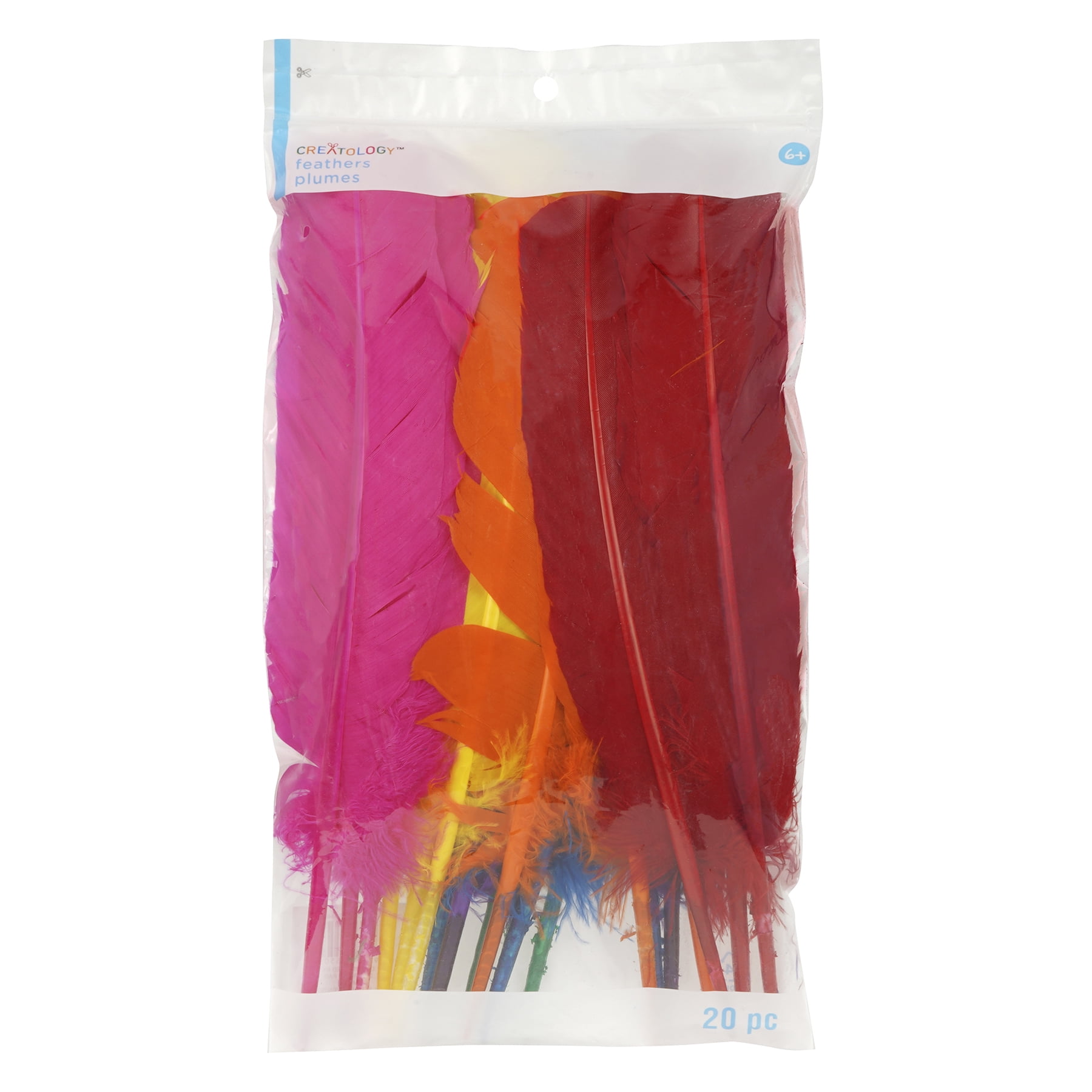 Mixed Quill Feathers by Creatology – Assorted Colors - Soft Feathers for Arts & Crafts - Ideal for DIY Projects - School & Home Use - 12 Pack