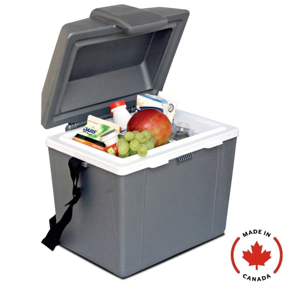 Koolatron 12V Electric Cooler/Warmer, 9L (9.8 qt) Thermoelectric Lunch Box, Portable Mini Fridge, Gray