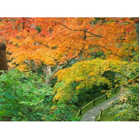Rob Okochi Sanso Kyoto Japan - Okochi Sanso, Kyoto, Japan Print Wall Art By Rob Tilley