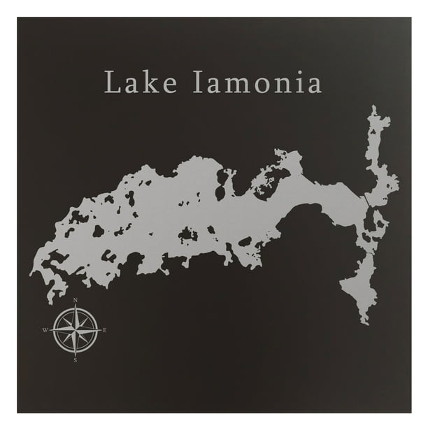 Lake Iamonia Map 12x12