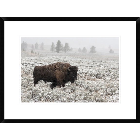 Global Gallery Alfred Forns 'Late Fall Yellowstone' Framed Wall Art