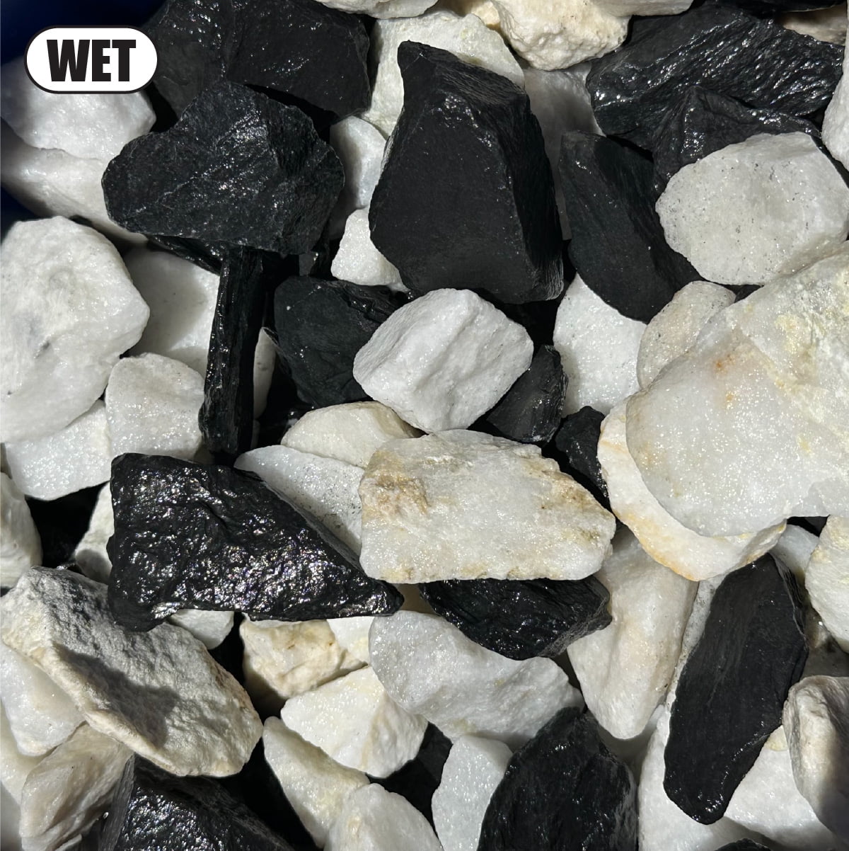 20 Pounds of Black & White Rocks, Size 1" to 3", Gravel Pebbles Stones for Landscaping, Terrariums, Aquariums, Gardens, Pond Water Features, Flower Beds, Pots, Decorative Walkways, Crystals, etc