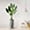 Bird of Paradise, variant on Artificial Tree in Modern Planter, Fake Monstera Silk Tree for Indoor and Outdoor Home Decoration - 65" Overall Tall (Plant Pot Plus Tree)
