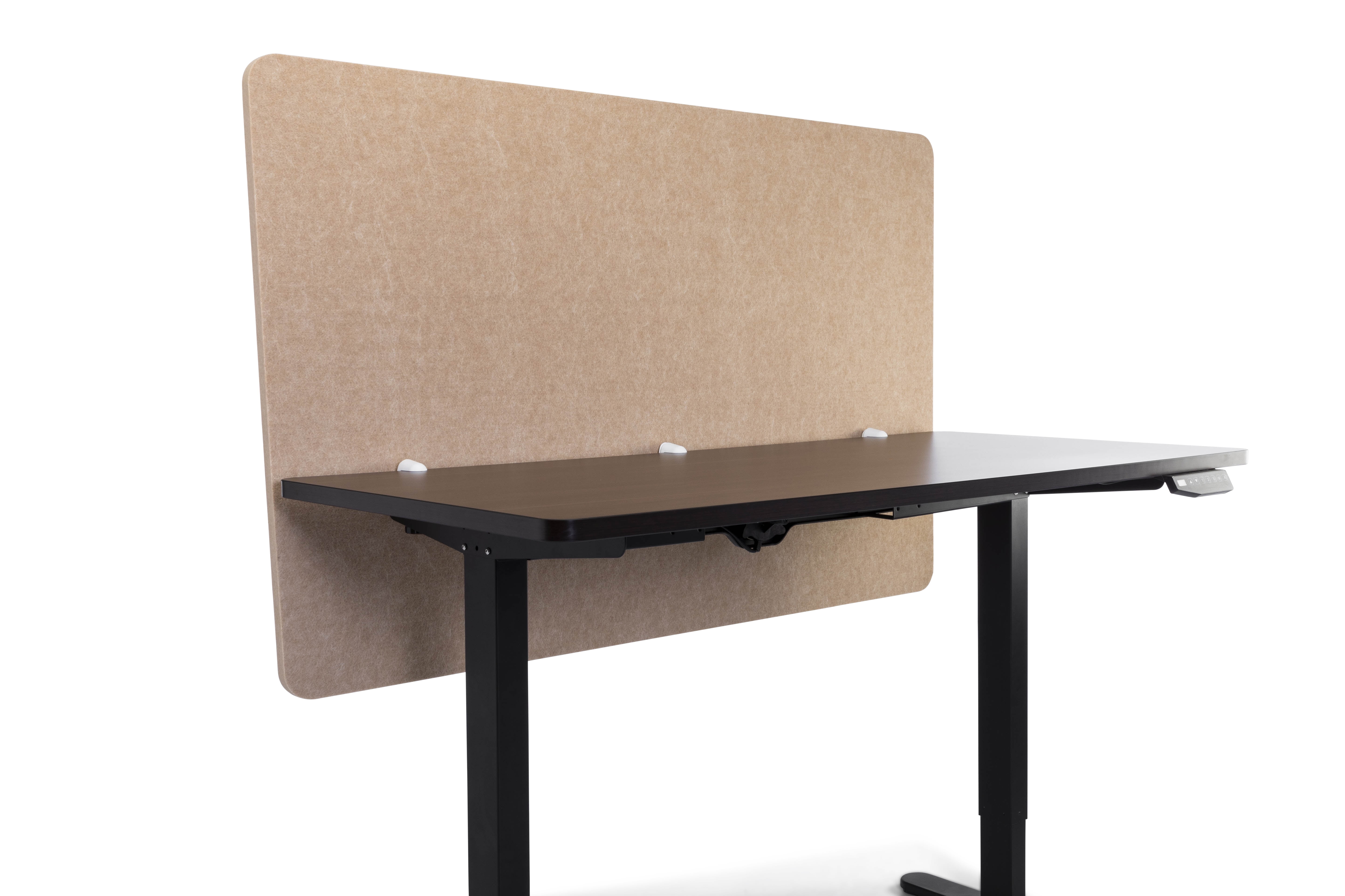 Height Adjustable Desk with Privacy Panel