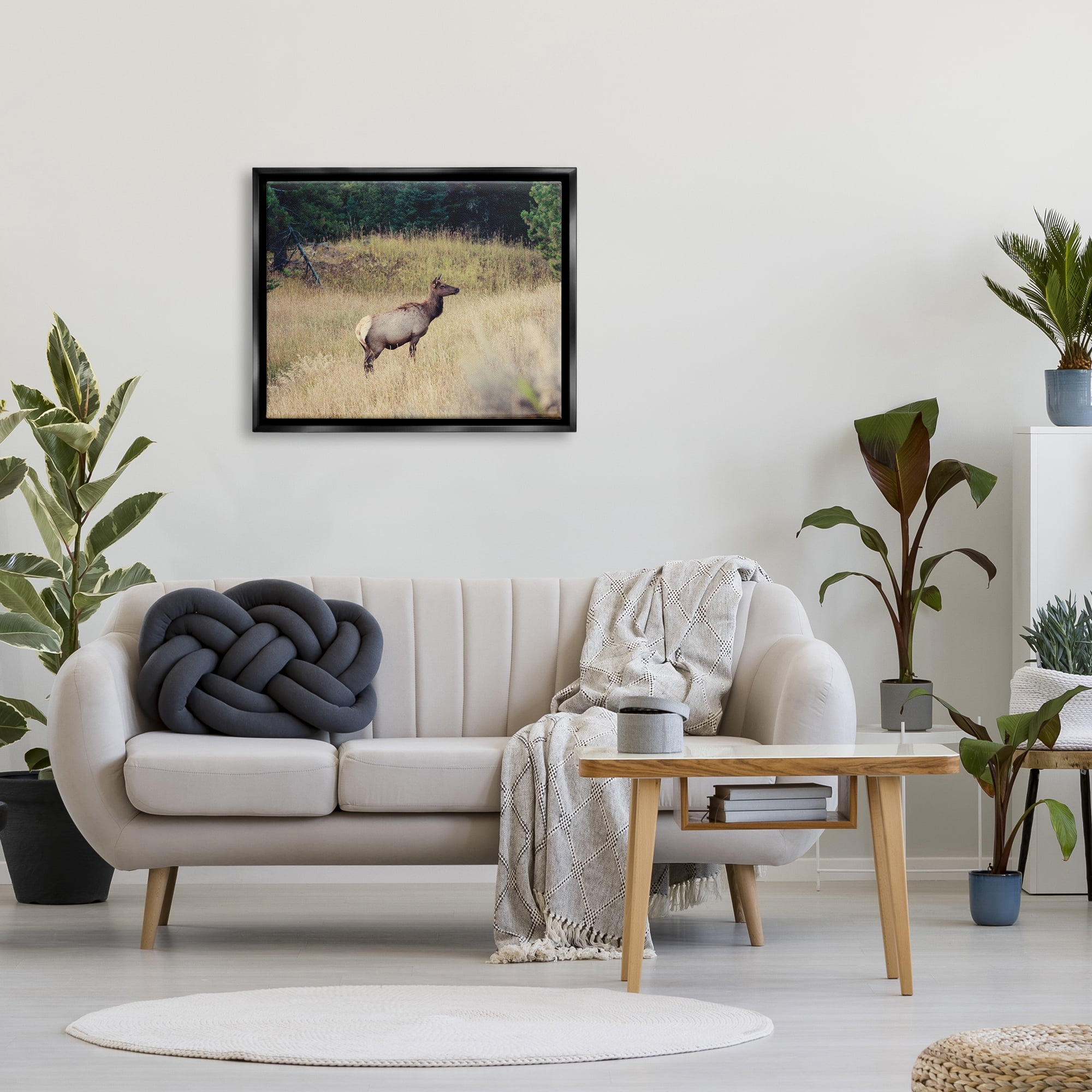 Stupell Wild Elk Nature Grove Photography Animals & Insects Photography Black Floater Framed Art Print Wall Art