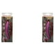 thumbnail image 1 of Billuyoard Bolígrafo para especias de café, bolígrafos para decoración de pasteles, bolígrafo reutilizable para tallar café, herramientas de Rosa 2Conjunto, 1 of 6