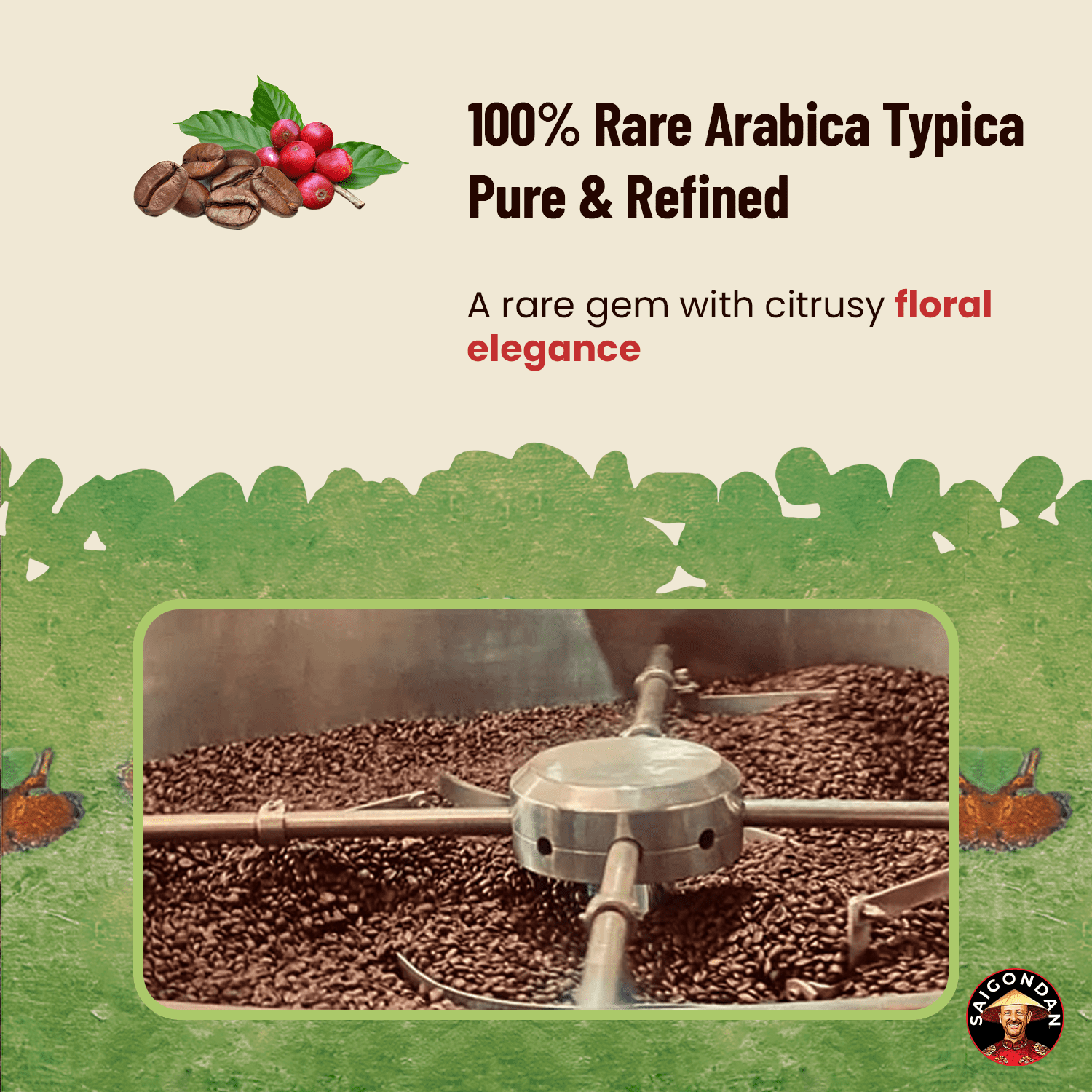 Saigondan Whole Bean Coffee - Harmony | Medium Roast | 100% Arabica | Vietnamese Single Origin | Roasted in Small Batch | Direct Trade | Full Bodied | No Preservatives | 12 Oz