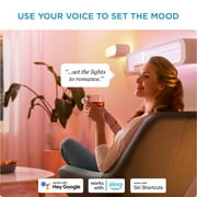 Philips Smart LED 100-Watt A21 General Purpose Light Bulb, Frosted Color, Dimmable, E26 Medium Base (1-Pack)