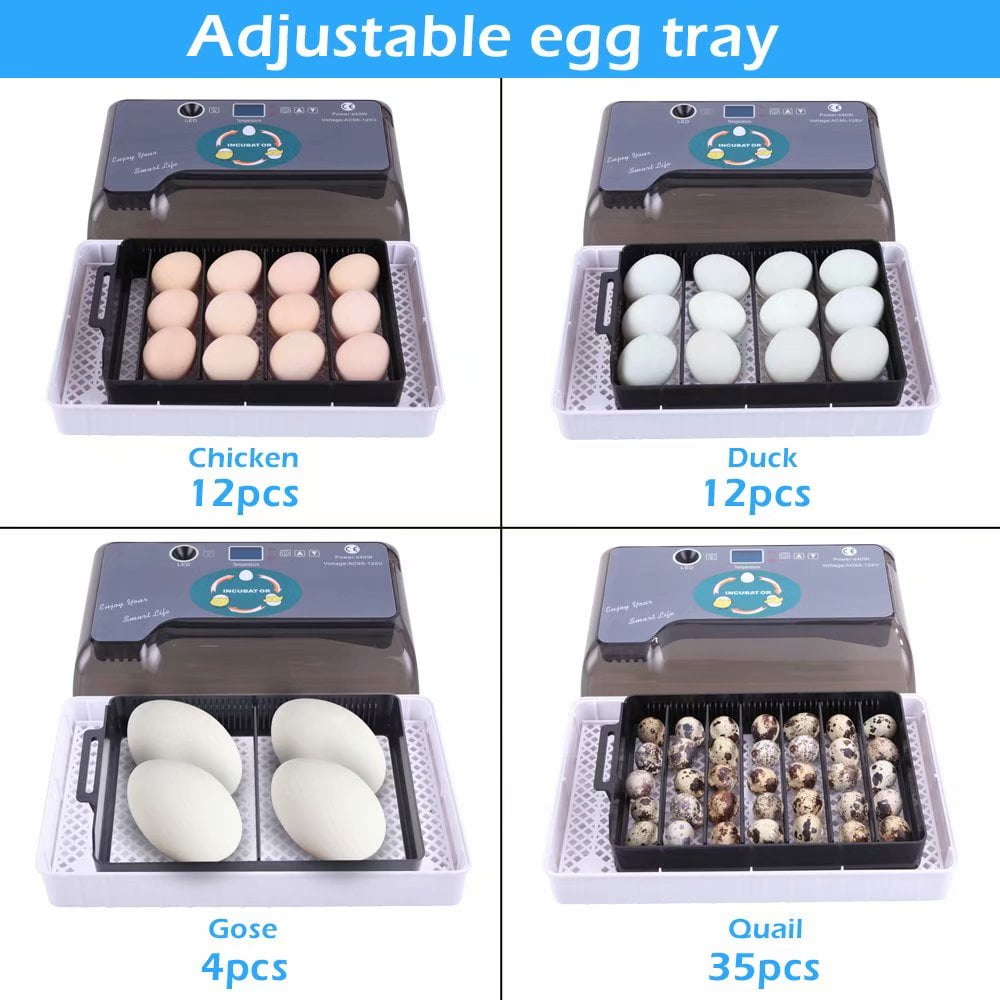 Akoyovwerve 12-Egg Automatic Egg Incubator with Egg Turner ...