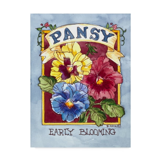 Trademark Fine Art 'Large Pansy Seed Packet' Canvas Art by Barbara Mock