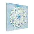 thumbnail image 4 of Trademark Fine Art 'Jaipur VIII' Canvas Art by Danhui Nai, 4 of 4