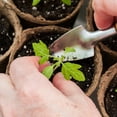 thumbnail image 4 of Macetas de Turba, 30 Macetas de Inicio de Semillas de 3 Pulgadas, Maceta Redonda para Vivero, Macetas Biodegradables con 20 Etiquetas de Plantas Adicionales, 4 of 10