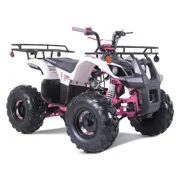 TaoTao T-Force 110cc Fully Automatic Mini Utility ATV