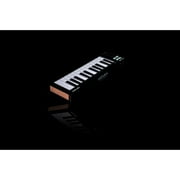 Arturia Microlab Universal MIDI Controller Mk3 Black