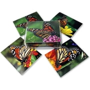 Small World Greetings Monarch Butterfly Note Cards 12 Count-Blank Inside with White Envelopes-A2 Size 5.5 x 4.25-Summer Greeting Cards-Nature Stationery-Birthday, Thank You, and Much More