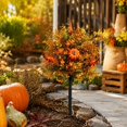 thumbnail image 6 of Artificial Pumpkin Eucalyptus Stake 22.1in - Faux Fall Foliage Yard Stake for Garden Patio Planter Outdoor Thanksgiving Decor, 6 of 6