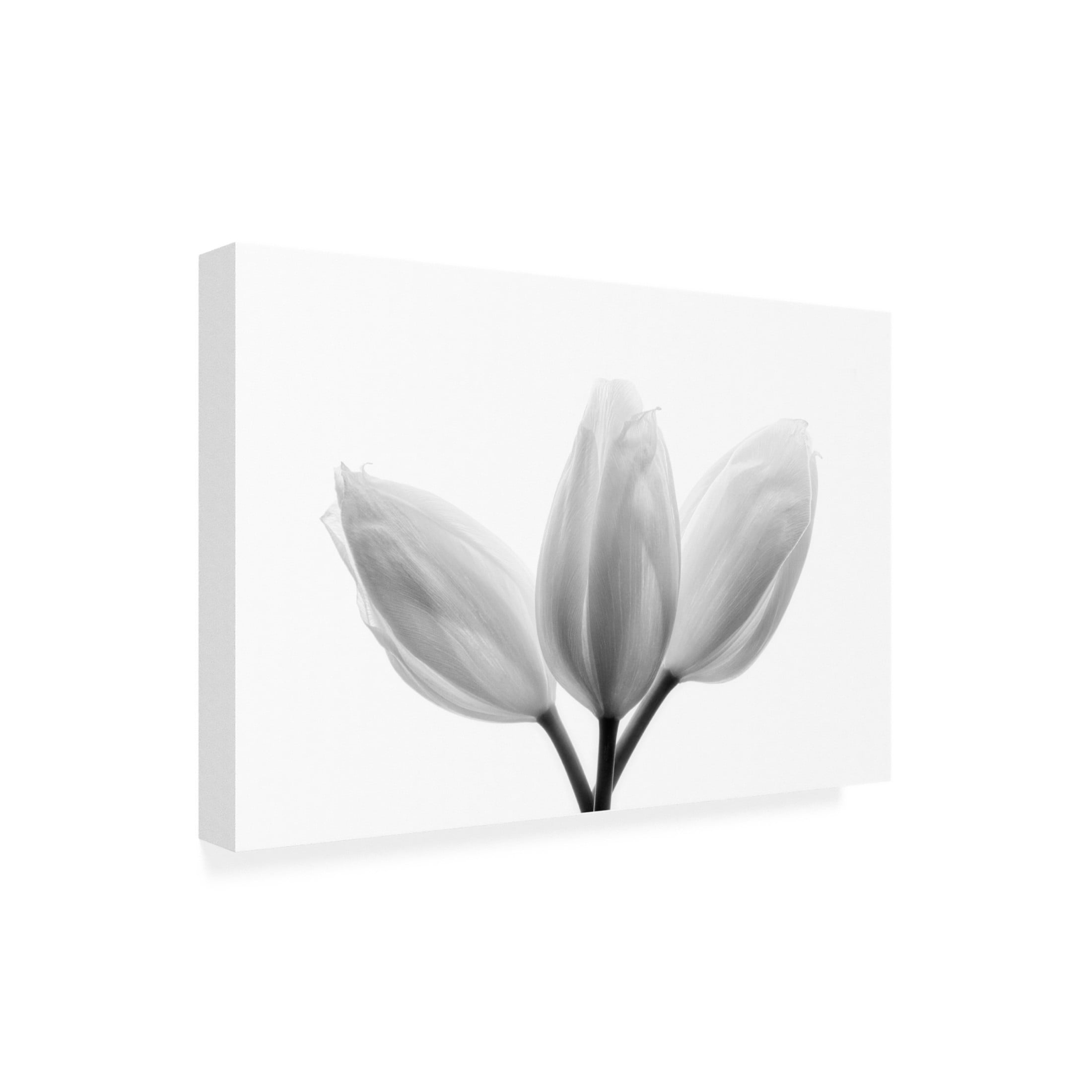 Trademark Fine Art Peter Davidson Trinity Canvas Wall Art