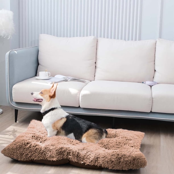 Xihbxyly Caseta de Invierno para Mascotas, Extraíble y Lavable, Acolchado de Esponja Suave, Base de Tela No Tejida, Acogedora Cama de Interior, Ideal para Perros Pequeños, 50 X 40 Cm.