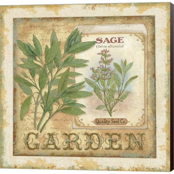 Fine Herbs II by Daphne Brissonnet, Canvas Wall Art