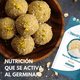 thumbnail image 5 of Harina de Arroz Germinado | SIN Gluten | 907g, 5 of 9