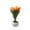 #0555-Orange, variant on Kieccall Tulip Shape 6 Head LED Night Light Table Lamp USB Plug in Decorative Light for Bedroom Desktop Home Gift Giving