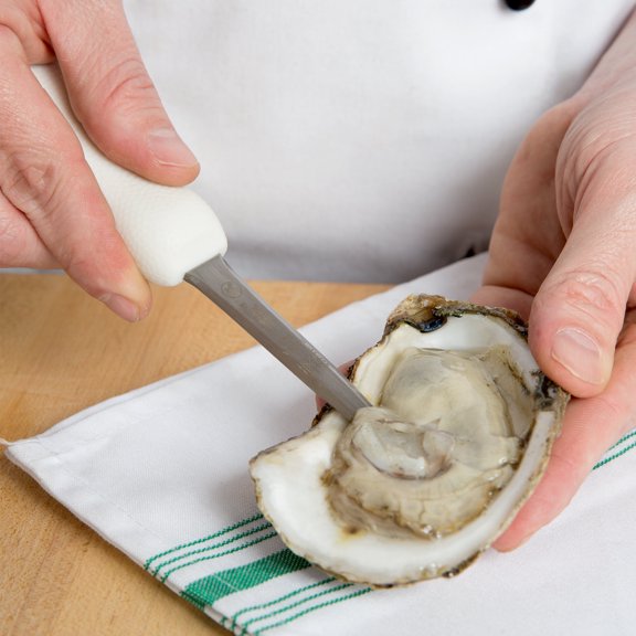 Mercer Culinary 3" Boston Style Steel Oyster Knife with Poly Handle, White